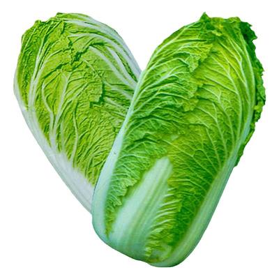 四季大白菜种子山东夏播农家