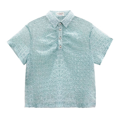 设计师品牌透视感凉爽百搭风衬衫