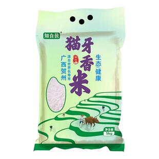 知食侠2024年新米猫牙米官方旗舰店农家米丝苗米象牙米长粒香大米