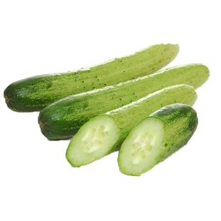 传统老黄瓜种子水果蔬菜种籽孑旱黄瓜农家海阳生吃水果黄瓜春秋季