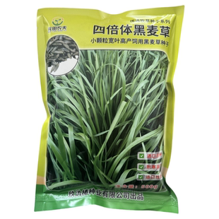 原装进口耐寒四倍体黑麦草种子宽叶牧草种子猪牛羊鸡鸭鹅鱼草种籽