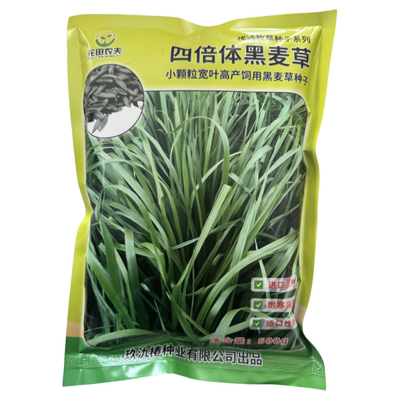 进口多年生猪牛羊鸡鸭鹅牧草种子