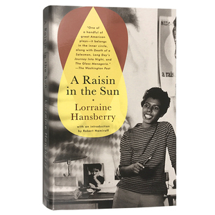 阳光下的葡萄干 A Raisin in the Sun 英文原版文学小说 汉斯贝里电影 太阳下的一颗葡萄干 进口书籍