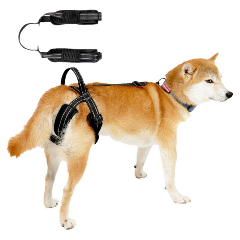 狗后腿辅助带残疾老年犬后肢康复