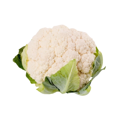 高产青梗松花菜苗耐寒秋冬季散花