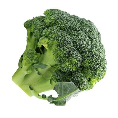 椰菜优秀高产利奥耐寒西兰花种子