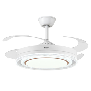 隐形风扇灯吊扇灯48寸客厅餐厅卧室吸顶吊扇带电风扇吊灯2025新款