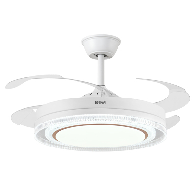 2025新款大风力隐形风扇灯带语音