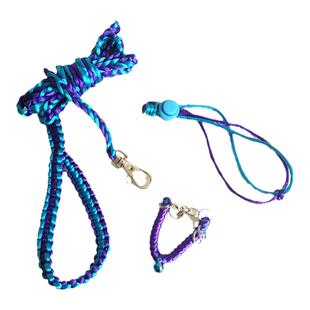 松鼠牵引绳背带项圈小铃铛分体链子三件套松鼠外出互动用品绳子