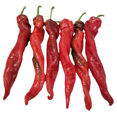 帝王四季阳台盆栽特大寿光辣椒苗