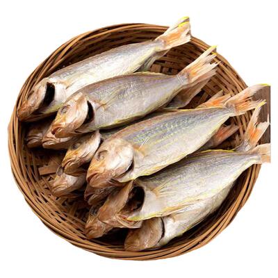 阳江特产淡晒一夜金线鱼