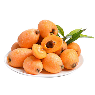 枇杷树虹越白沙枇杷虹越庭院水果树苗家庭果盆栽两广南方种植