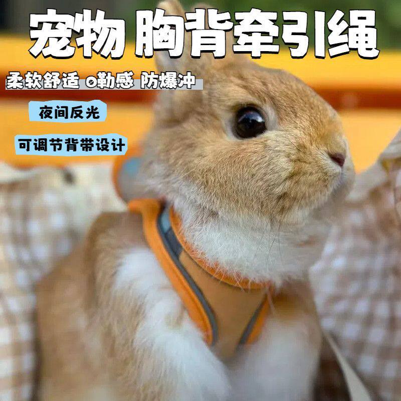 小型犬猫咪专用防挣脱牵引绳溜猫胸背带兔子狗狗外出牵遛绳