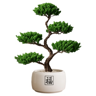 五层塔松盆栽招财旺宅桌面盆景办公室内绿植客厅中式禅意四季植物