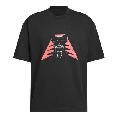 Adidas/阿迪达斯正品ANTED DAWG TEE男士运动篮球短袖T恤JZ9447