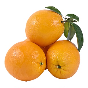 【已卖完】湖北宜昌宜都市现摘新鲜蜜桔橘子特早熟青黄皮孕妇酸清