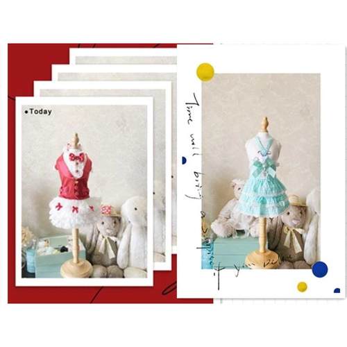 宠物服装展示架子宠物服装模特狗狗衣服架子狗狗衣服拍摄道具直播