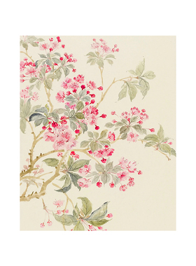 觅彩油画布花卉手绘数字油画