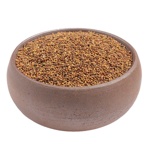 内蒙菟丝子50克 吐丝子 会吐丝的菟丝子 泡酒泡水 菟丝子茶