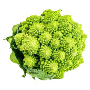 宝塔菜特色种子种籽花椰菜菜花秋季花菜四季蔬菜孑菜籽菜种籽种