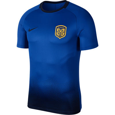 Nike/耐克官方正品夏季新款男士训练足球运动透气短袖AR4709-480