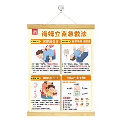 Y·S·R/奕思瑞海姆立克急救挂图