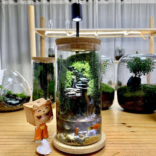 【悬崖秘境】苔藓微景观生态瓶造景办公桌面摆件植物盆景绿植养鱼