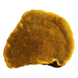 寻百草中药材桑黄西藏野生正品桑树桑黄灵芝干货优选500g