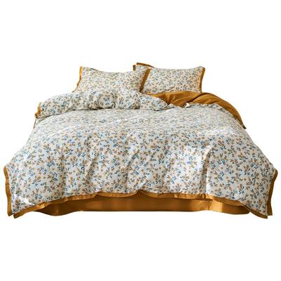 高档加厚磨毛床上四件套100纯棉