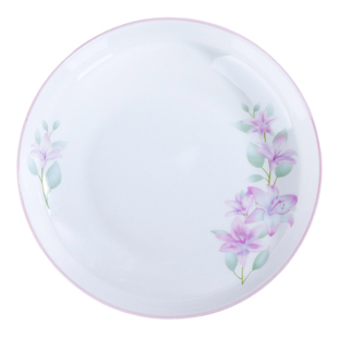 天顺陶瓷紫金花果盘家用餐具饭盘炒菜盘子釉中彩釉上彩品质加深盘