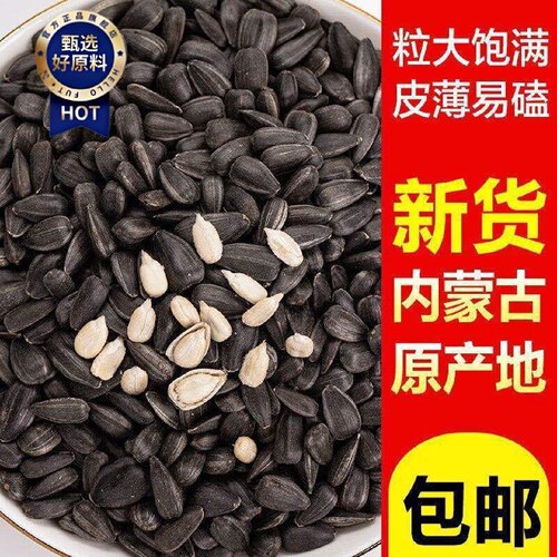 三龙源三龙源黑珍珠小瓜子油葵瓜子原味五香花油葵炒货葵花子零食