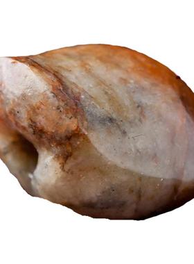 河磨玉火燎皮富甲天下文玩配饰