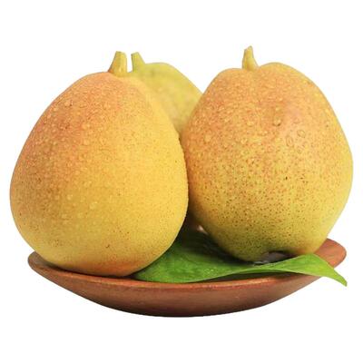 新疆库尔勒香梨全母梨子新鲜孕妇水果整箱5斤精选舰店包邮直发