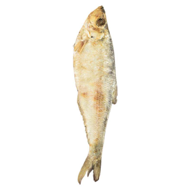 精品大号正宗老宁波三刨咸鳓鱼