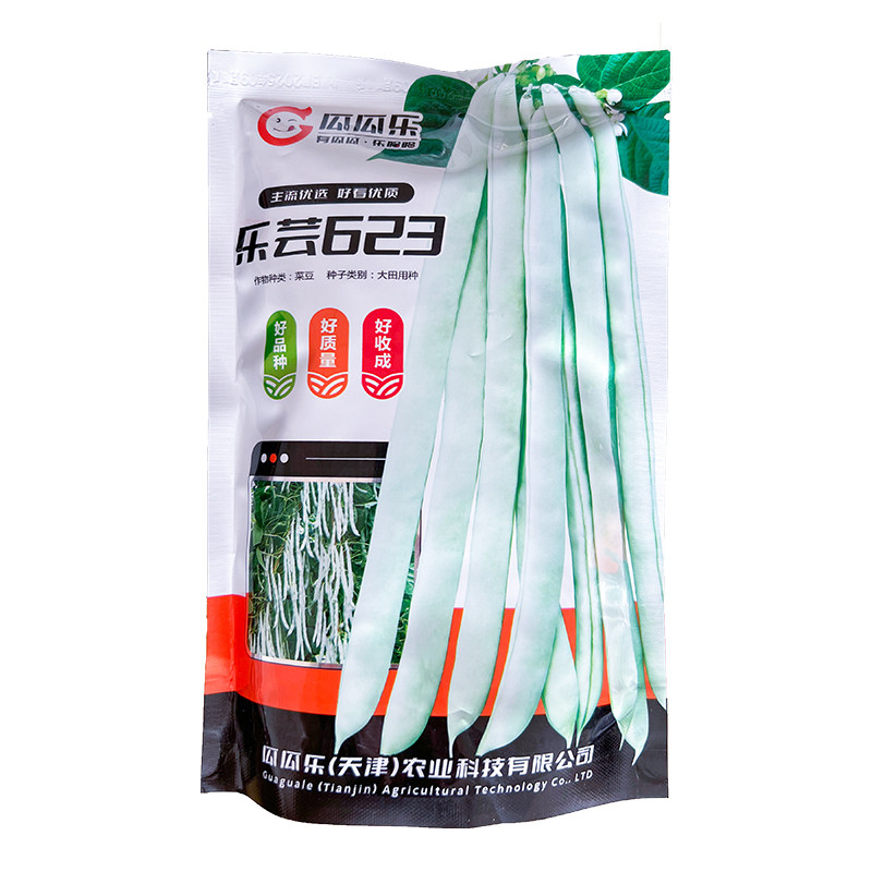 改良白不老架豆种子乐芸623春季秋季无筋菜豆扁豆老来少豆角种籽