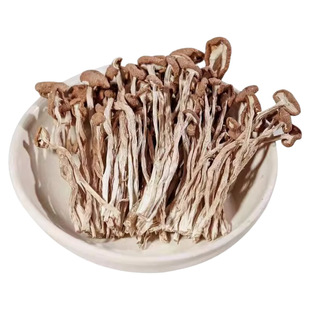 茶树菇干货甄选不开伞切根新货菌菇古田农家自产茶树菇食用菌香菇