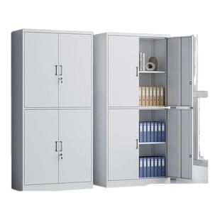 通双节铁皮文件柜办公室资料档案凭证柜带锁储物柜钢制书柜收纳柜