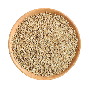 加纳利子鸟食鹦鹉鸟粮饲料虎皮玄风牡丹白尖金丝雀芙蓉黄雀草籽