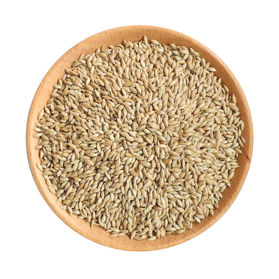 加纳利子草籽营养鸟食