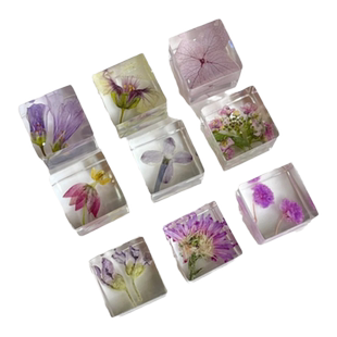 手工滴胶植物方块标本硅胶模具干花种子琥珀立体标本制作展示材料