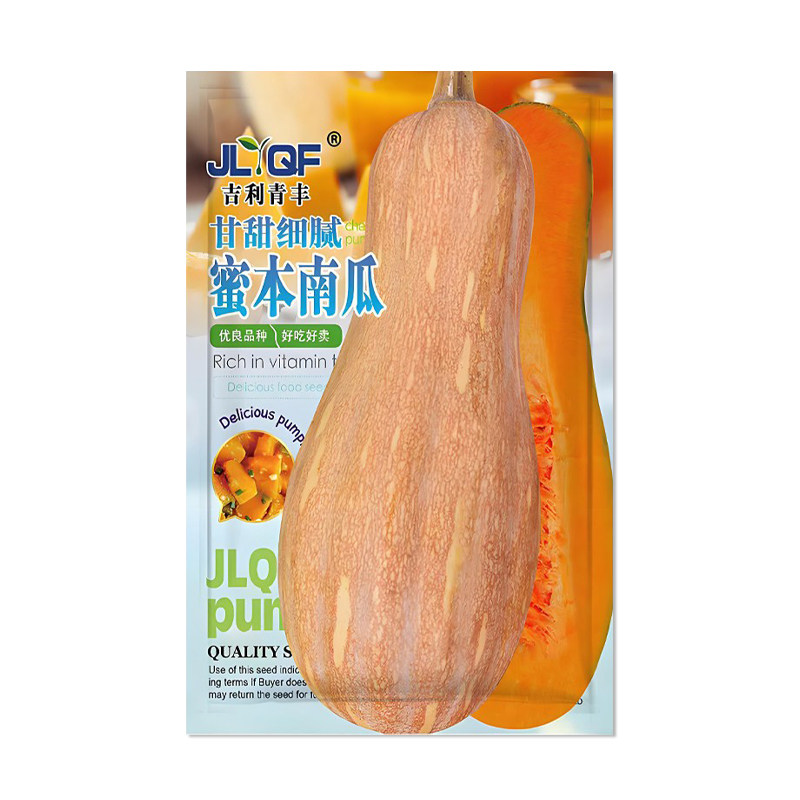 吉利青丰蜜本南瓜种子