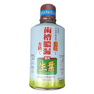 日本进口小林制药生叶液漱口水薄荷味中药植物牙龈牙周护理330ml