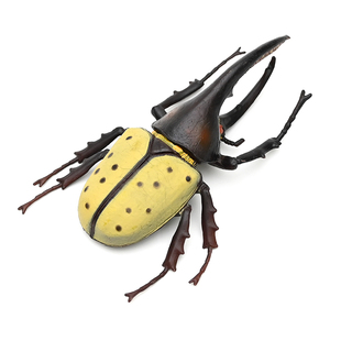 仿真甲虫模型玩具昆虫兜虫天牛锹甲锹形虫独角仙儿童认知礼物摆件