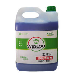 卫诗乐洁厕剂商用酒店医院公厕专用除菌去异味除垢强力去污剂3.8L