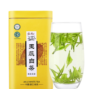 2026新茶特级玉蕊白茶雨前高山安吉绿茶农直销珍惜茶叶春茶250g