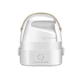 飞乐思电熨斗手持智能迷你便携挂烫式纳米蒸汽小烫斗干湿两用除螨