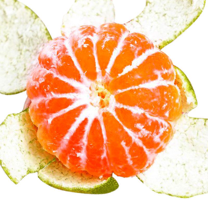 宜昌蜜橘新鲜酸甜水果