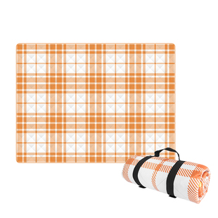 纵贯线野餐垫防潮垫露营帐篷内垫户外便携草坪沙滩防水垫子CD-20