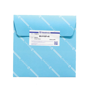 0.22umNC膜(Nitrocellulose Membrane) 0.45um硝酸纤维素膜WB转印膜 15*20cm BS-NC-45BS-NC-22