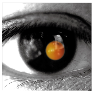 官方正版 陶喆2002年专辑 黑色柳丁 讨厌红楼梦 蝴蝶 R&B CD唱片